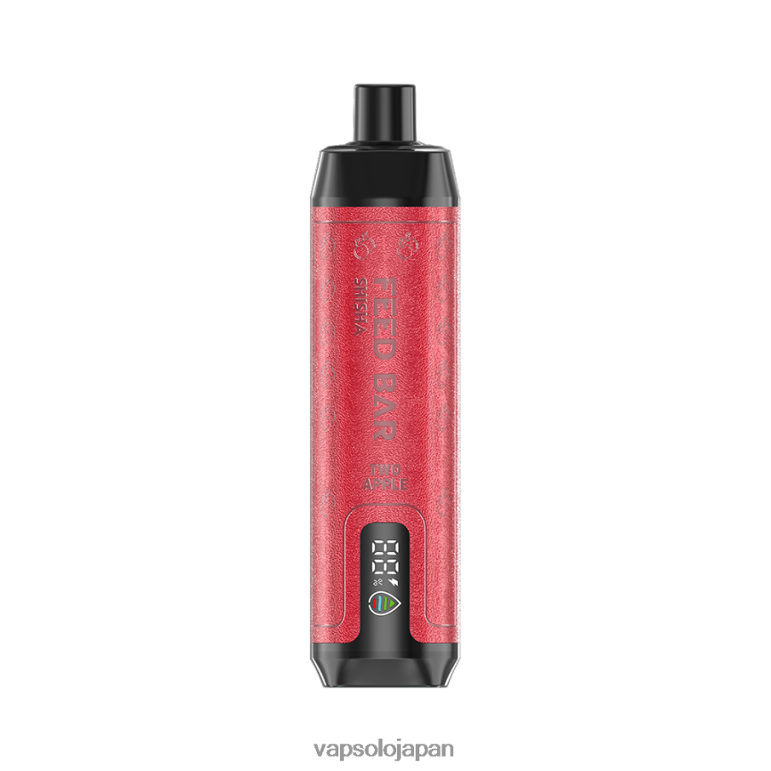 VapSolo SHISHA 使い捨て電子タバコ 2つのリンゴ DLX4T212 - Vapsolo Wholesale