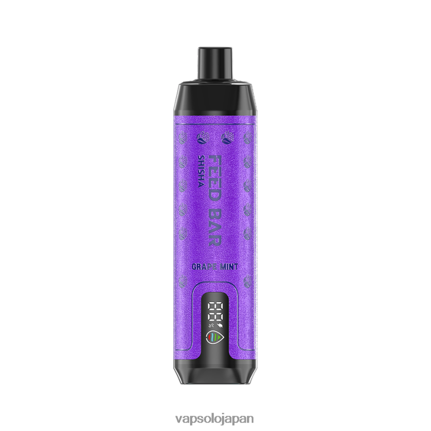 VapSolo SHISHA 使い捨て電子タバコ グレープミント DLX4T26 - Vapsolo Flavours