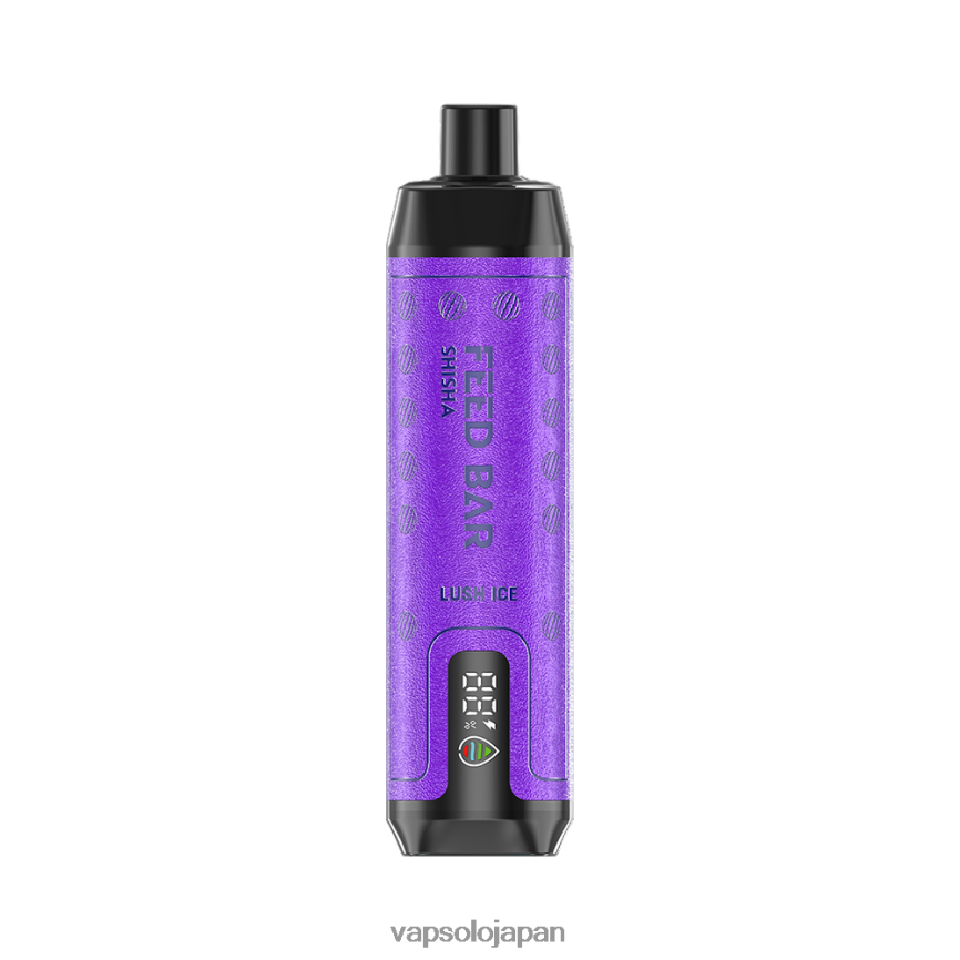 VapSolo SHISHA 使い捨て電子タバコ 豊かな氷 DLX4T28 - Vapsolo Refill