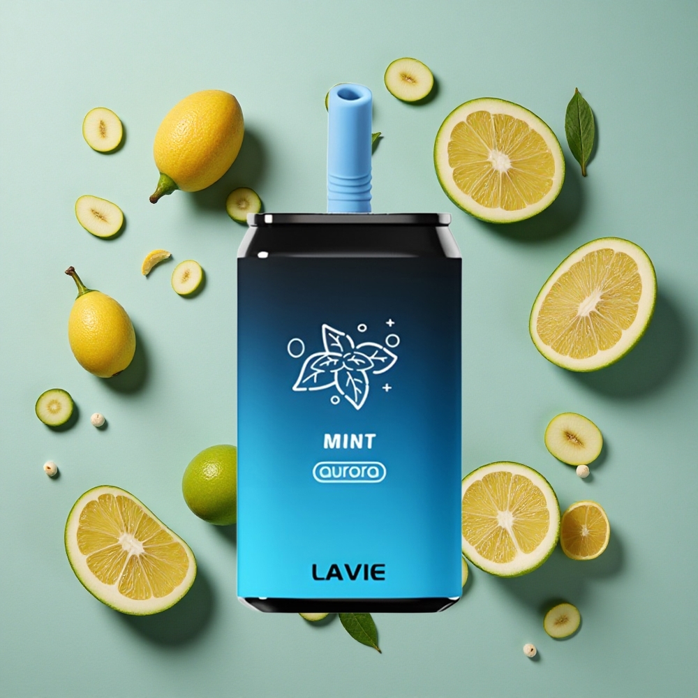 ミント味 LAVIE Aurora 11000回吸引 22ML 日本 vape wholesale